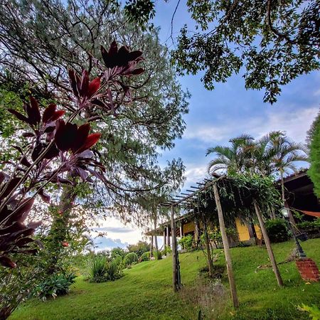 Chales Por Do Sol แซร์ฮาเนกรา ภายนอก รูปภาพ