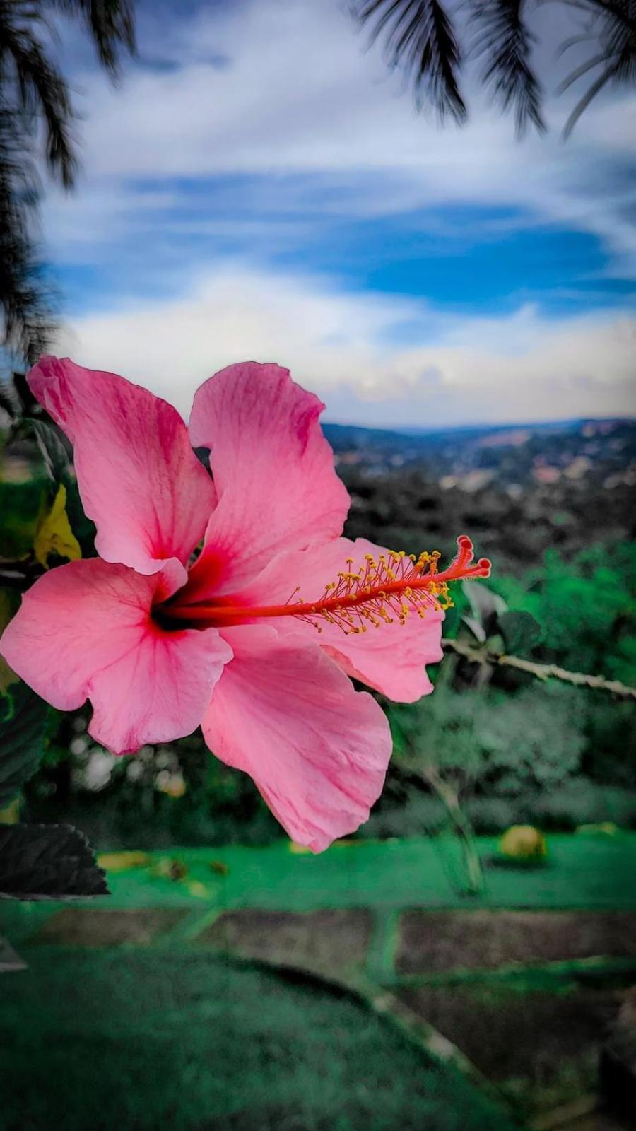 Chales Por Do Sol แซร์ฮาเนกรา ภายนอก รูปภาพ